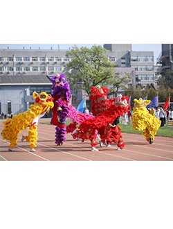 留学北师 / English / E